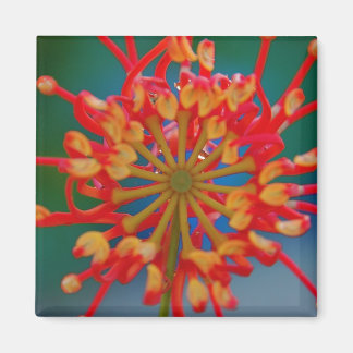 Imán Magnate de flores abstractas