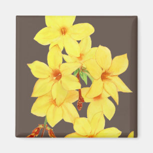 Imán Magnate de flores de jazmín amarillo   Arte acuar