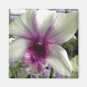 Imán Magnate de flores de orquídea