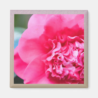 Imán Magnate de flores rosadas artesanales de Camillia