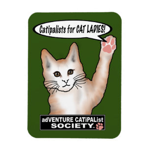 Imán Magnate de fotografía flexible para gatos