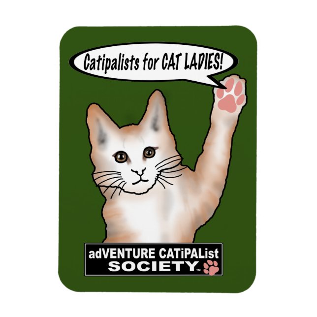 Imán Magnate de fotografía flexible para gatos (Vertical)