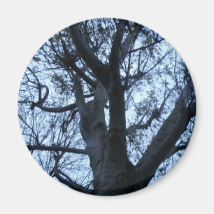 Imán Magnate de fotografías de silueta de árbol