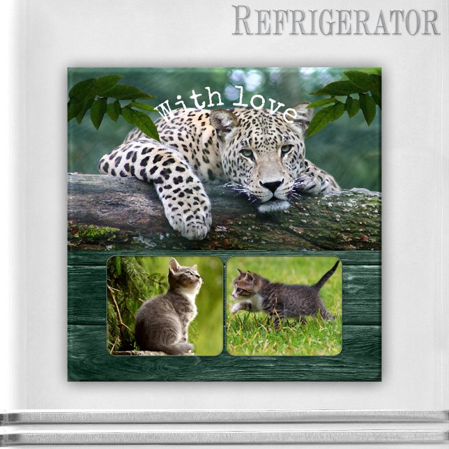 Imán Magnate de fotos de animales de gato grande person (Photo magnet featuring a lovely big cat resting on a tree branch overlooking your personal photos)