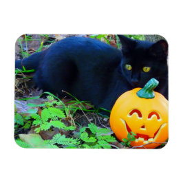 Imán Magnate de fotos de caída de gato negro