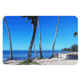 Imán Magnate de fotos de la costa hawaiana