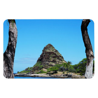 Imán Magnate de fotos de la costa hawaiana