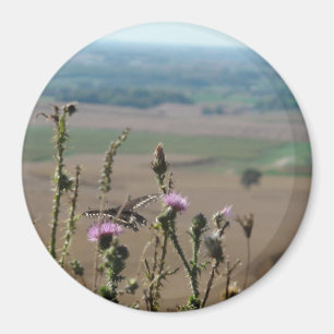 Imán Magnate de fotos de la naturaleza y la mariposa