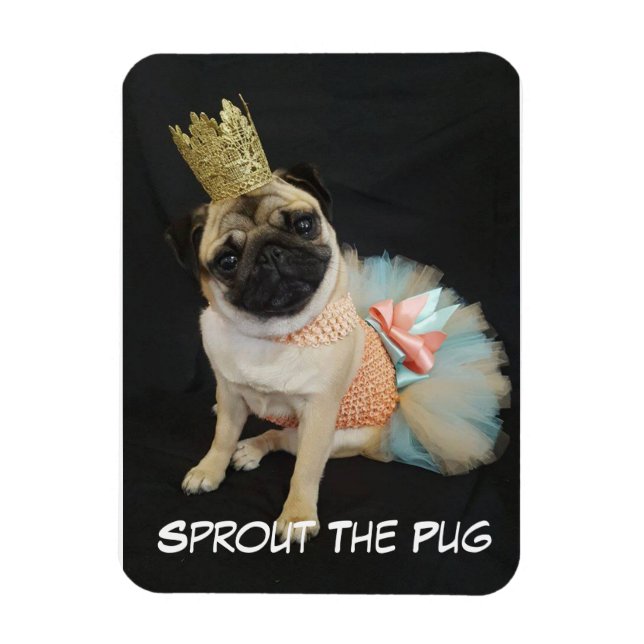 Imán Magnate de fotos de reina (Vertical)