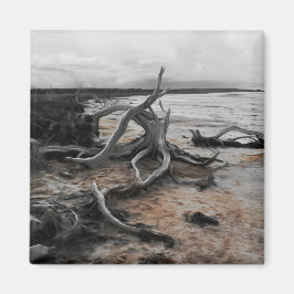 Imán Magnate de fuerzas naturales del lago Tyrrell