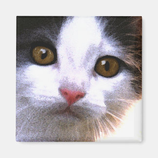 Imán Magnate de gato