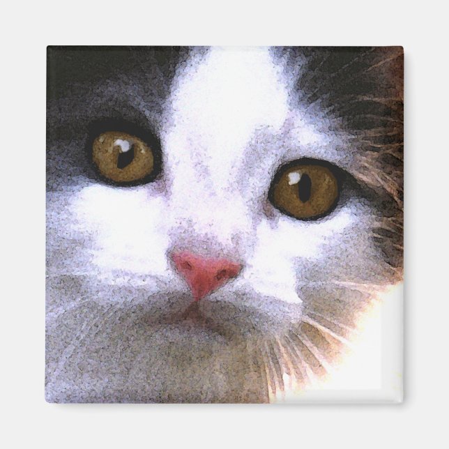 Imán Magnate de gato (Frente)