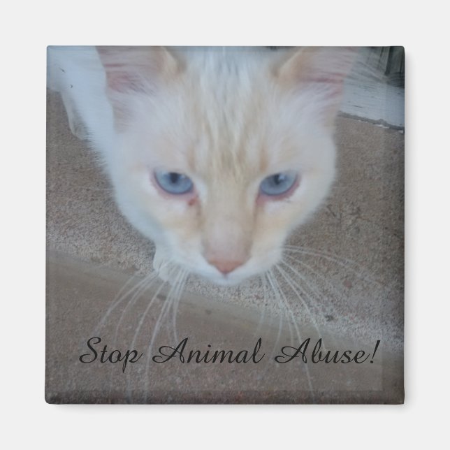 Imán Magnate de gato (Frente)