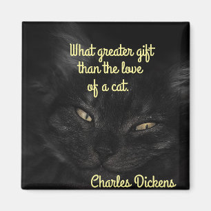 Imán Magnate de gato