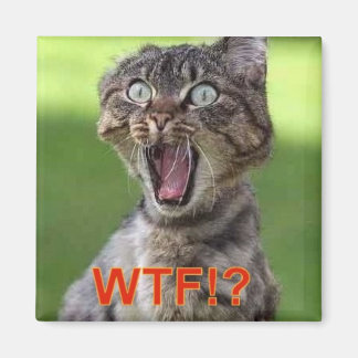 Imán Magnate de gato