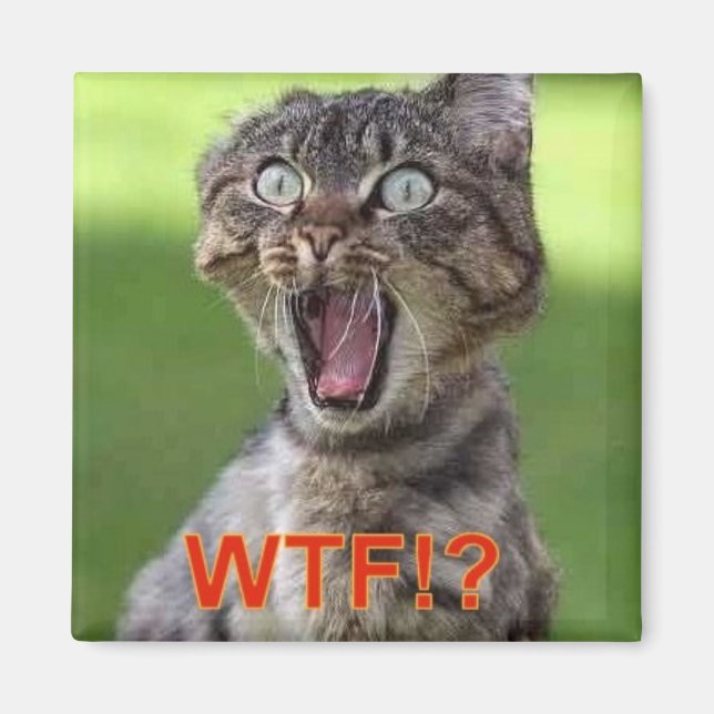 Imán Magnate de gato (Frente)