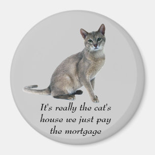 Imán Magnate de gato