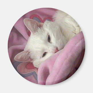 Imán Magnate de gato blanco