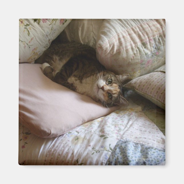 Imán Magnate de gato de almohada (Frente)