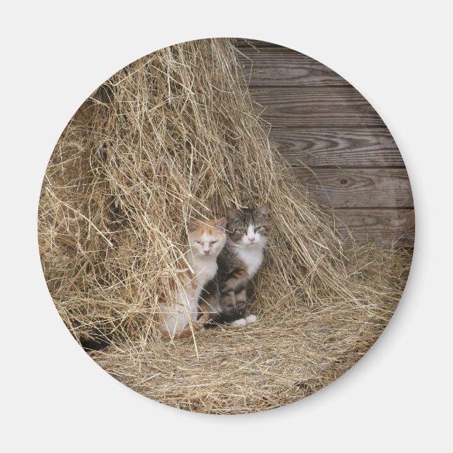 Imán Magnate de gato de Barn (Frente)