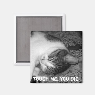 Imán Magnate de gato de crabby que duerme