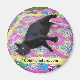 Imán Magnate de gato de la pila loca