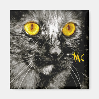 Imán Magnate de gato de mono