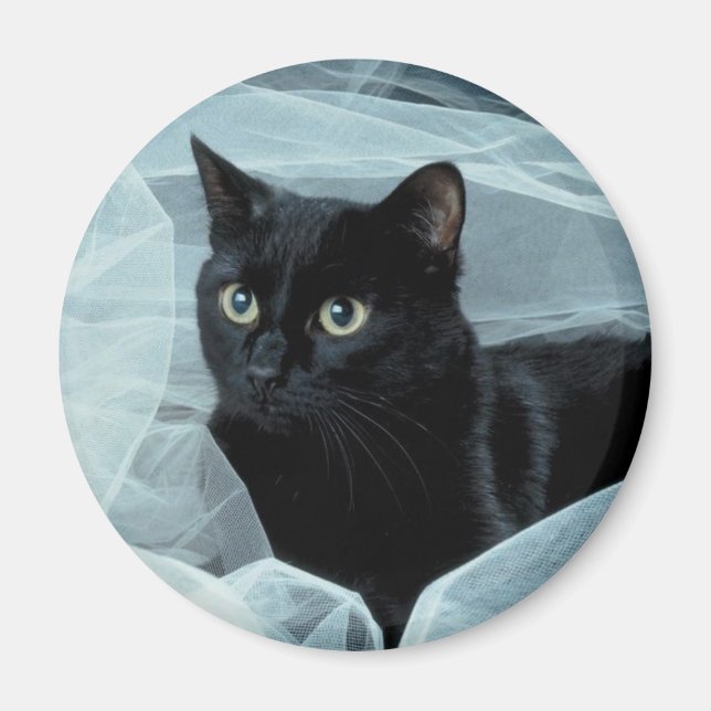 Imán Magnate de gato negro (Frente)