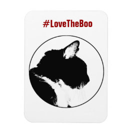 Imán Magnate de gato negro