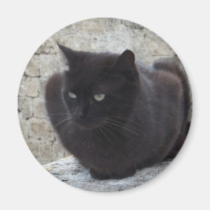 Imán Magnate de gato negro