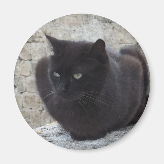 Imán Magnate de gato negro (Frente)