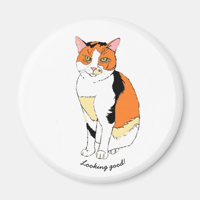 Imán Magnate de gatos de fantasía (Frente)