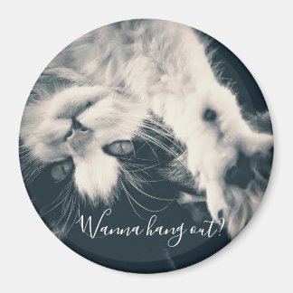 Imán Magnate de gatos - ¿quieres salir?
