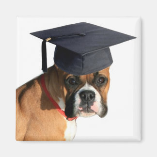 Imán Magnate de graduación de Boxer