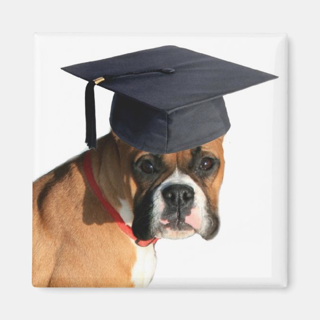 Imán Magnate de graduación de Boxer (Frente)