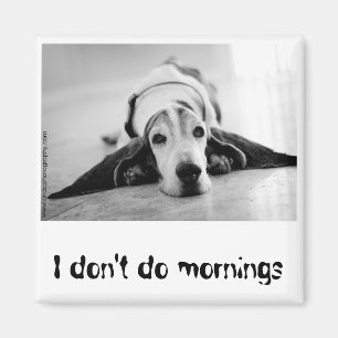 Imán Magnate de helilla de base blanco y negro