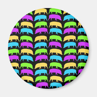 Imán Magnate de Hogs multicolor