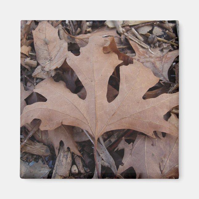 Imán Magnate de hoja marrón (Frente)