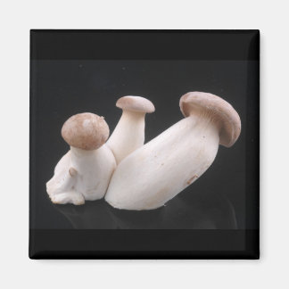 Imán Magnate de hongos de Trumpet Royal