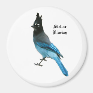 Imán Magnate de Jay Stellar Blue