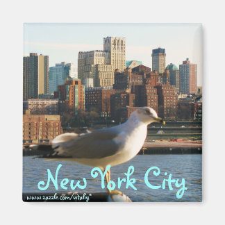 Imán Magnate de la ciudad de Nueva York
