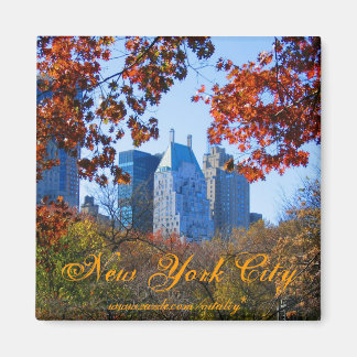 Imán Magnate de la ciudad de Nueva York
