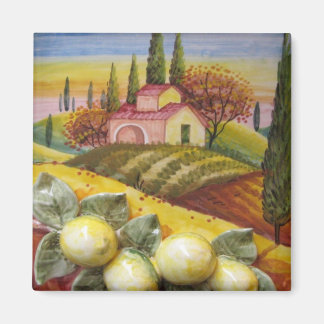 Imán Magnate de la granja toscana