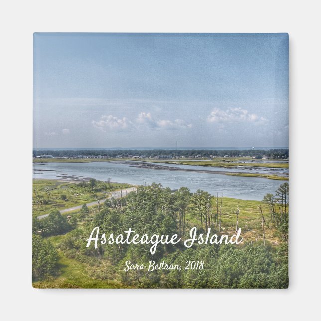 Imán Magnate de la isla de Assateague (Frente)