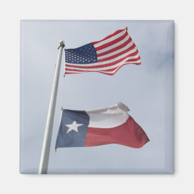 Imán Magnate de la Plaza de la Bandera de Texas y Estad (Frente)