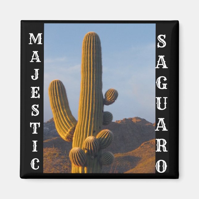 Imán Magnate de la Plaza Saguaro (Frente)