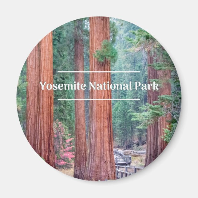 Imán Magnate de la Ronda del Parque Nacional Yosemite (Frente)