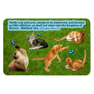 Imán Magnate de las bellas escrituras de gatitos Matthe