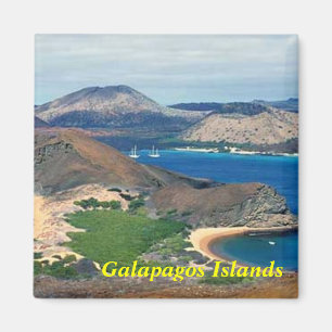 Imán Magnate de las Islas Galápagos