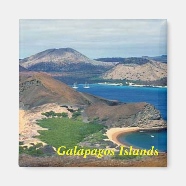 Imán Magnate de las Islas Galápagos (Frente)